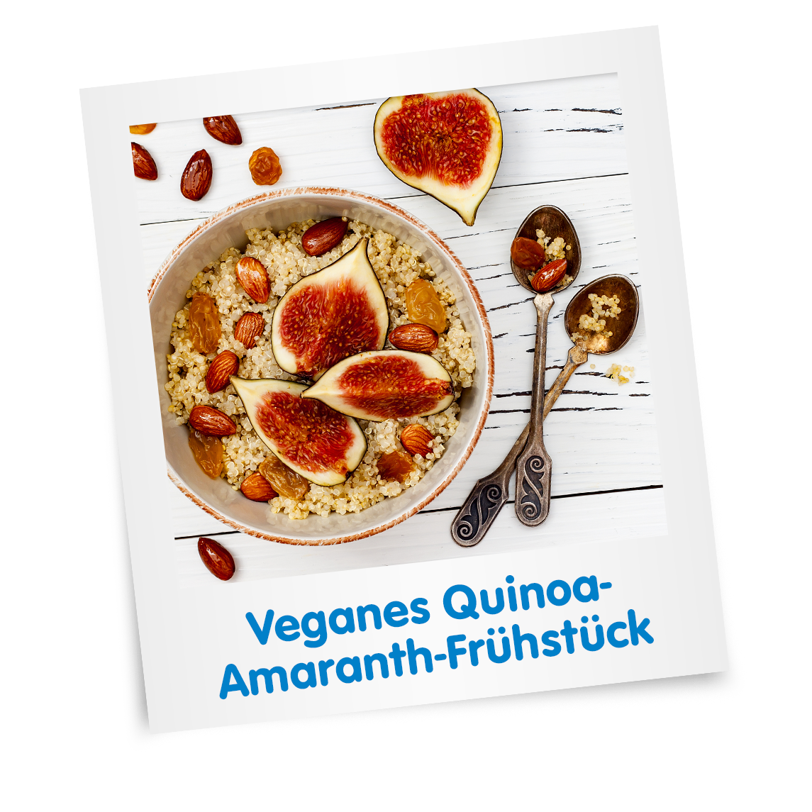 lat_teaser_rezepte_veganes_quinoa-amaranth-fruehstueck