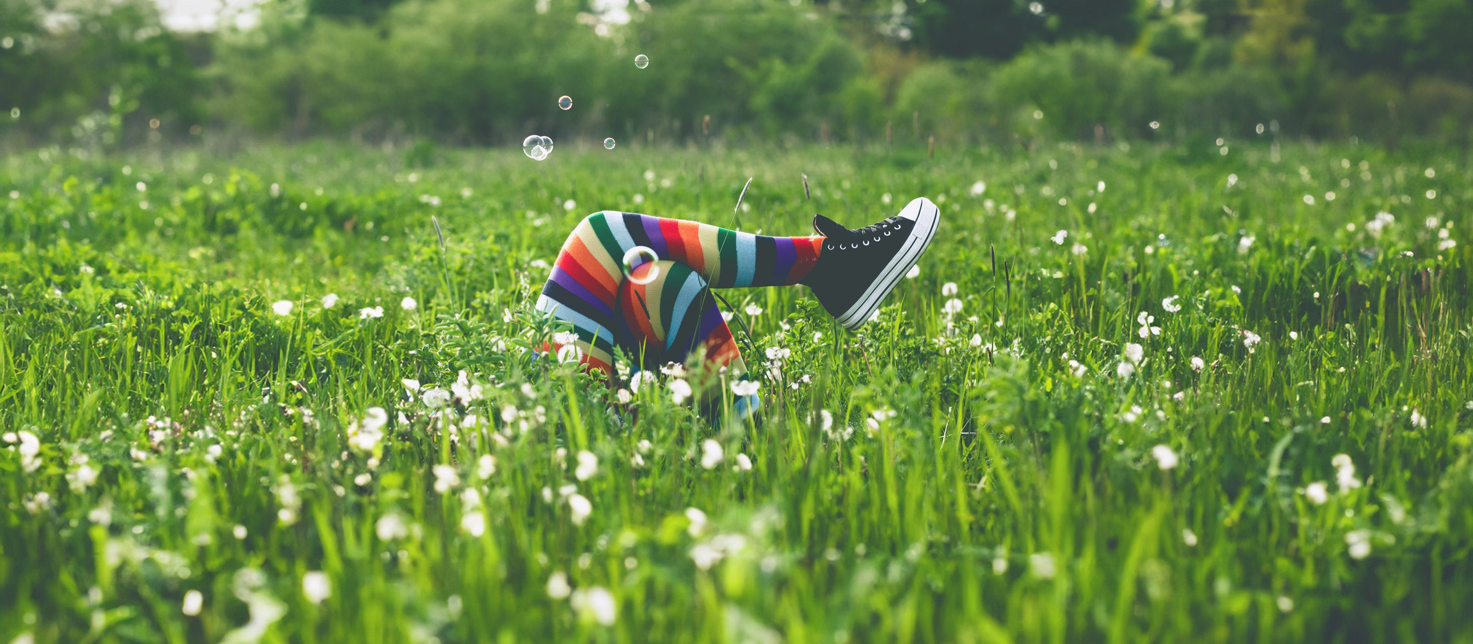 Header Lattella