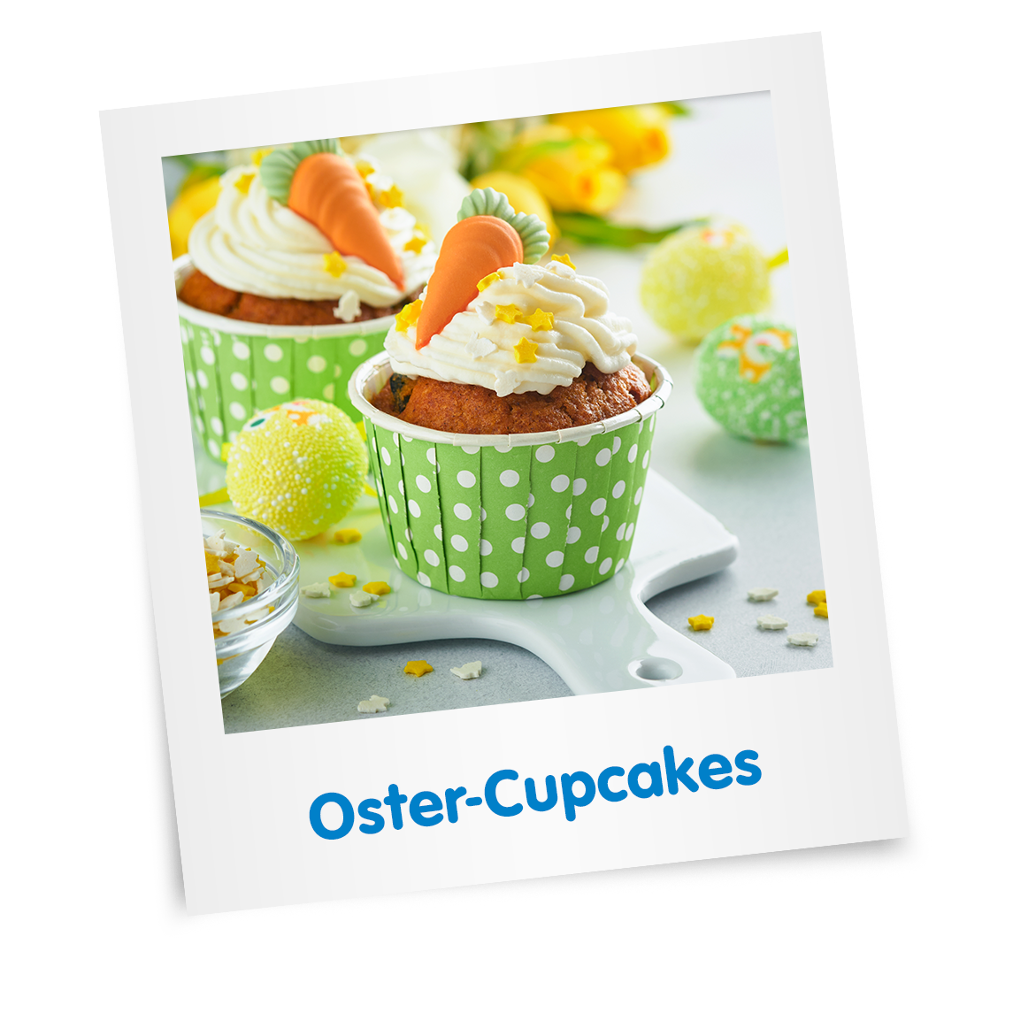 lat_oster-cupcakes_teaser.png