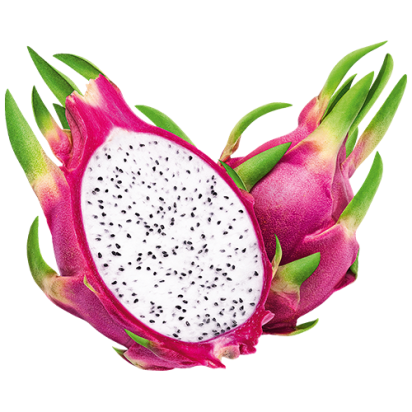 Das Bild zeigt die Frucht der Lattella Sorte Drachenfrucht