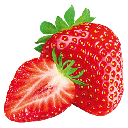 Das Bild zeigt die Frucht der Lattella Sorte Erdbeere