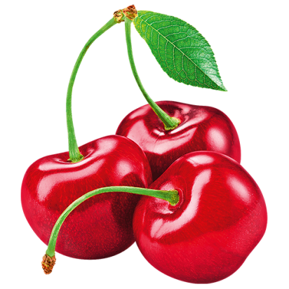 Das Bild zeigt die Früchte der Lattella Sorte Kirsche