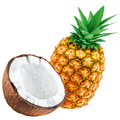 Das Bild zeigt die Früchte der Lattella Sorte Kokos-Ananas