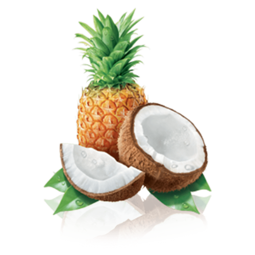 Früchte - Kokos_Ananas