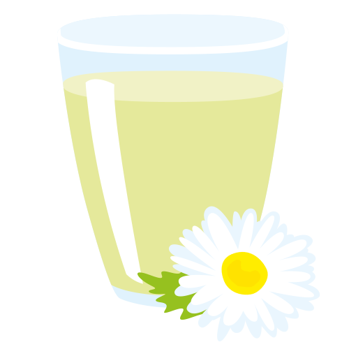 Früchte - Natur