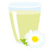 Früchte - Natur